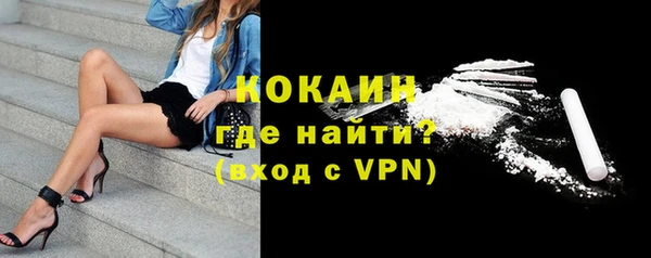 прущие грибы Верхний Тагил