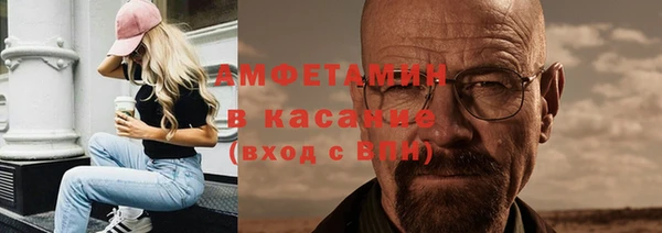 прущие грибы Верхний Тагил