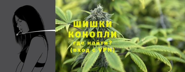 прущие грибы Верхний Тагил