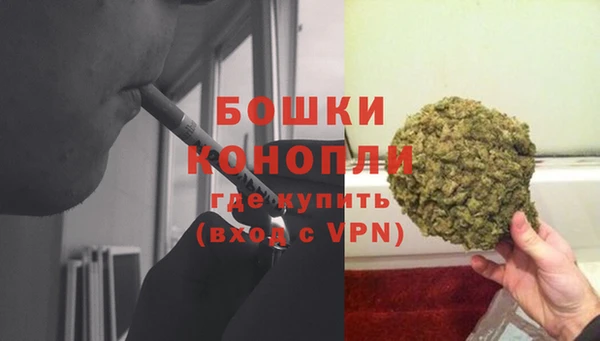 прущие грибы Верхний Тагил