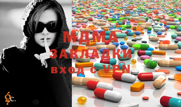прущие грибы Верхний Тагил