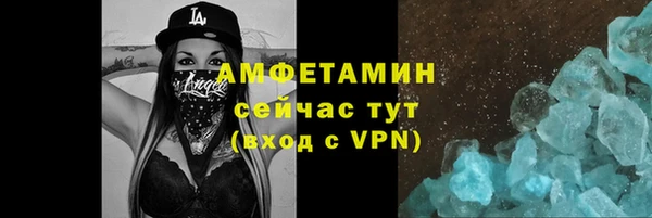 прущие грибы Верхний Тагил