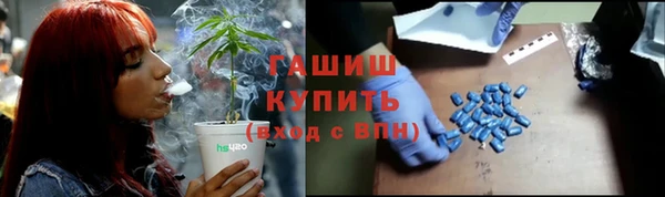 прущие грибы Верхний Тагил