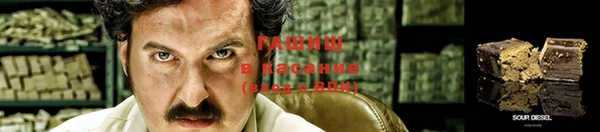 прущие грибы Верхний Тагил