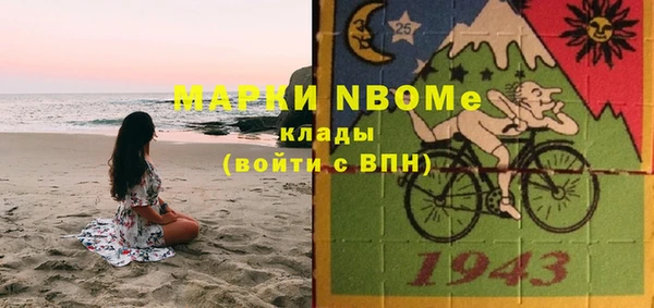 прущие грибы Верхний Тагил