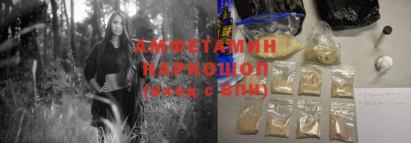прущие грибы Верхний Тагил